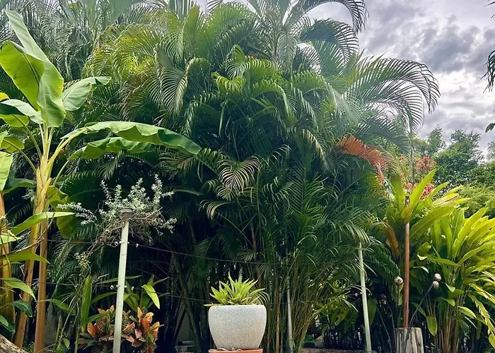 Cote Pacific Casitas 3* Huacas